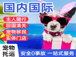 塔什库尔干红其拉甫航空邮寄国际宠物托运 【国